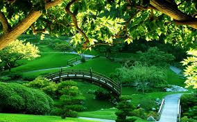 land